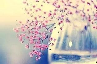 我亲爱的宝贝～直到我支配你,一段深情支配的浪漫旅程