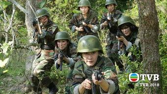 波士早晨,揭秘职场精英的早晨时光