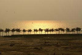 在阳光下,探索自然与生命的奥秘