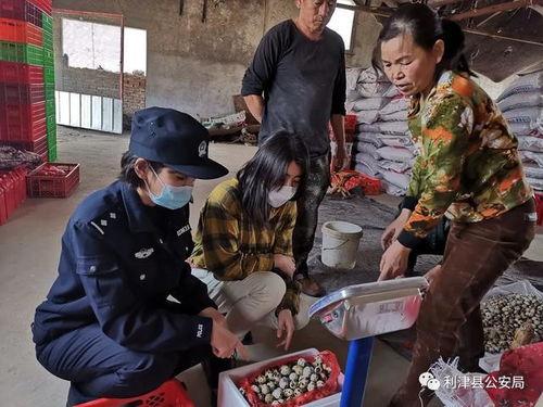 六零灾荒年,我有空间通菜场