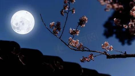 月圆中秋之娘嫂,一家团圆的温馨故事