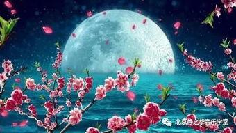 月圆中秋之娘嫂,一家团圆的温馨故事