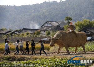 稻草人 2013,穿越时空的奇幻之旅