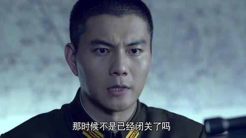 雪豹坚强岁月,岁月磨砺下的坚韧传奇