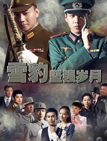 雪豹坚强岁月,岁月磨砺下的坚韧传奇